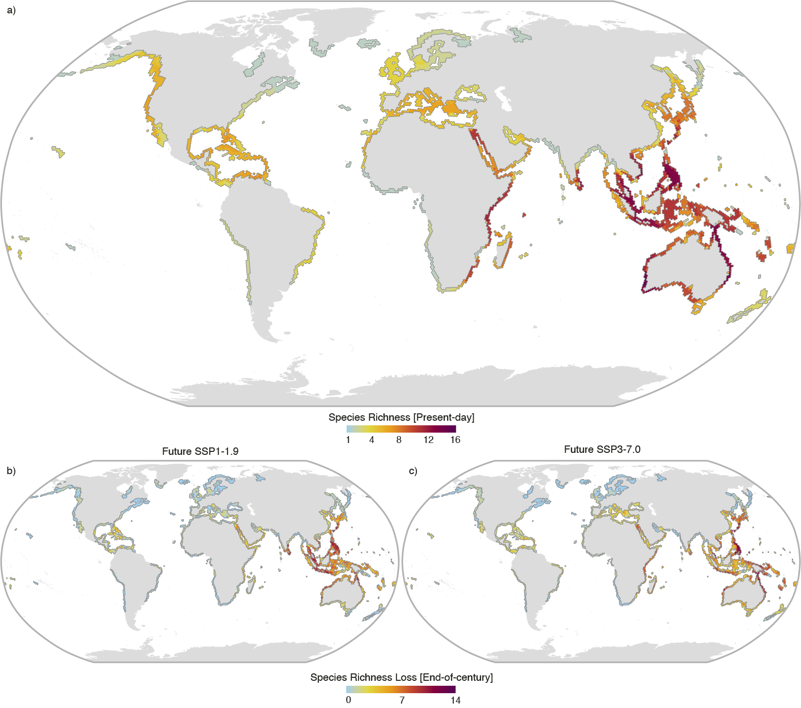 seagrass changes